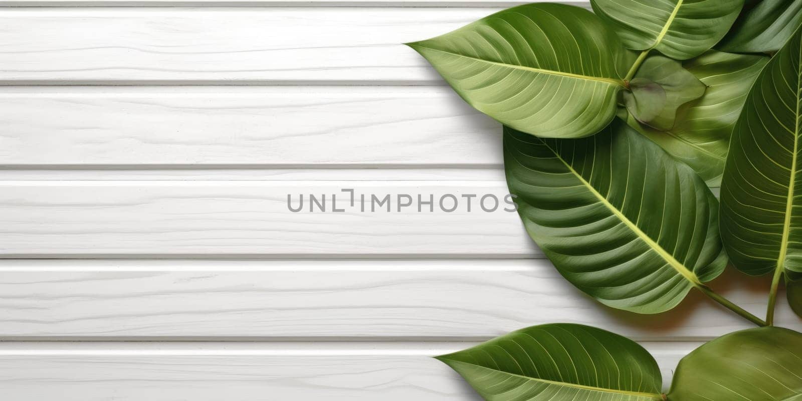 Flat lay photo white wooden and green leaf around it, copy space background. Generative AI weber. by biancoblue
