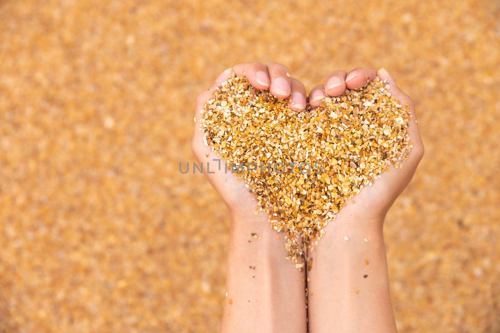 Soft heart shapes of women's hands over the beach. In the hands of a girl there is sand from a small shell in the shape of a heart, a beach holiday and the romance of a vacation.