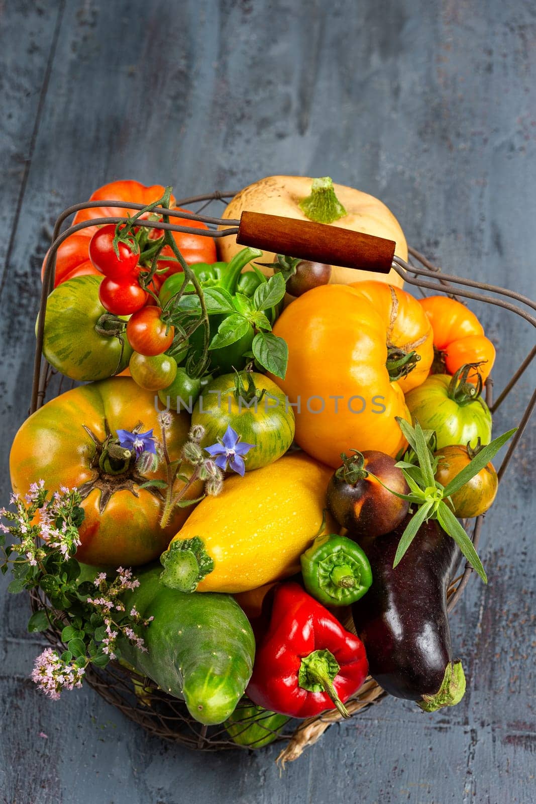 Basket with vegetables (cabbage, carrots, cucumbers, radish and peppers) in the hands of a farmer background of nature Concept of biological, products,