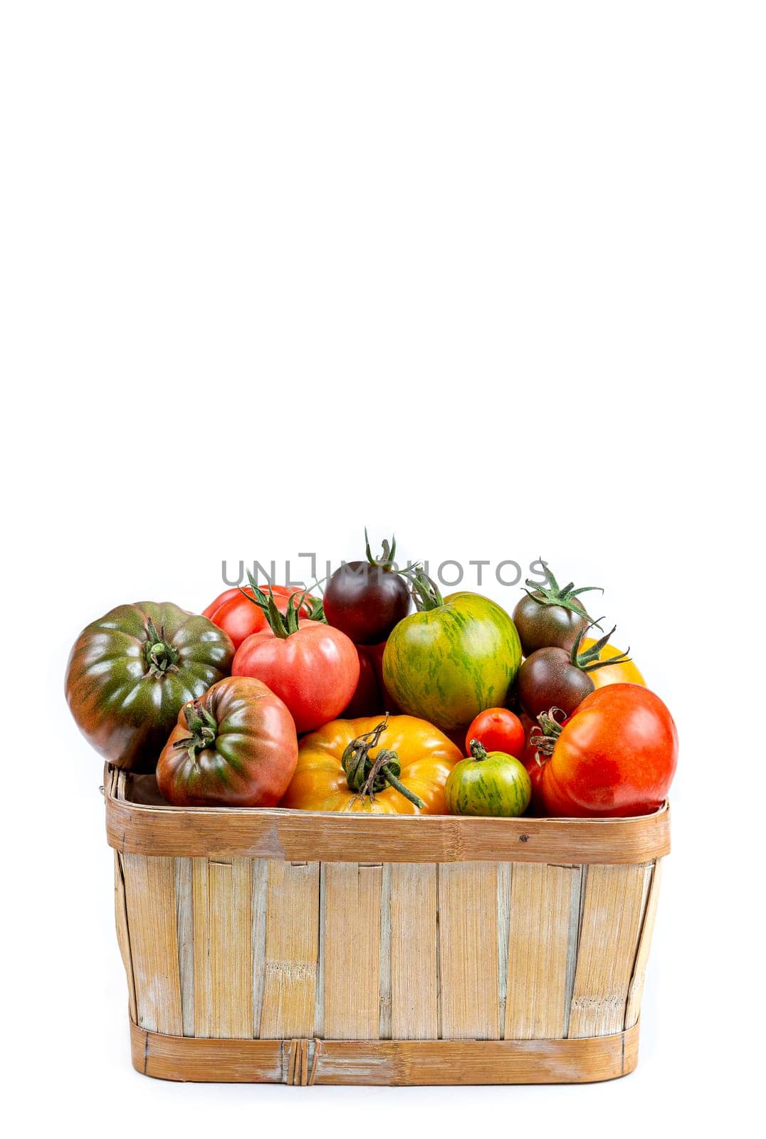 Basket full of freshly harvested heirloom and heritage tomatoes from the garden allotment. Multicoloured, red, green, black, purple, orange and yellow tomatoes ready to eat