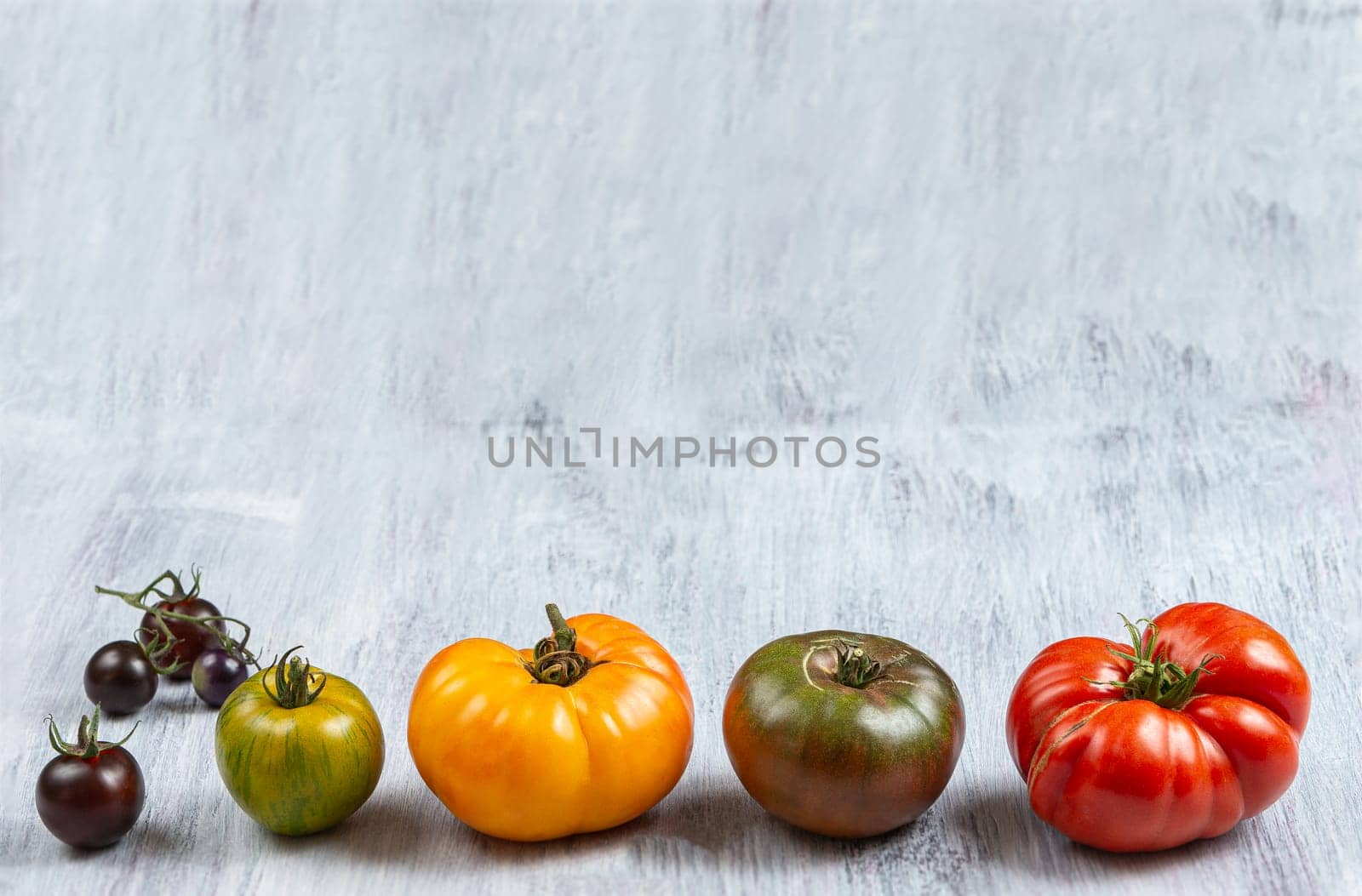 fresh line of heirloom and heritage tomatoes from the garden allotment. Multicoloured, red, green, black, purple, orange and yellow tomatoes