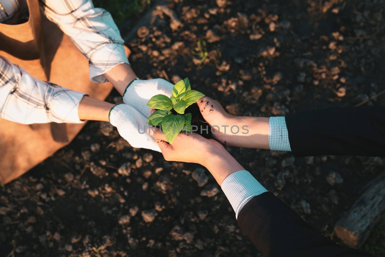 Eco-business company empower farmer with eco-friendly farming practice. Gyre by biancoblue