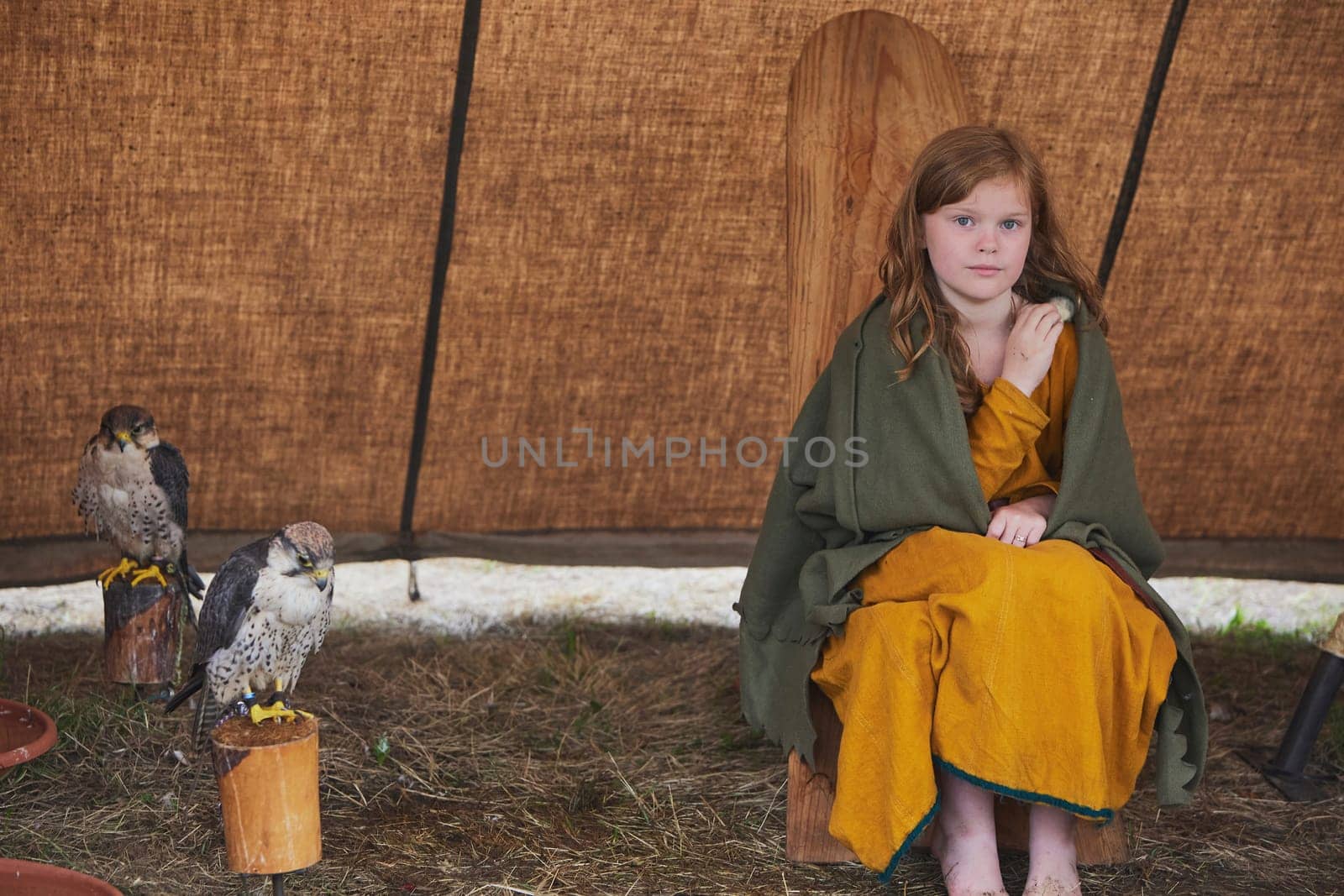 Hojbjerg, Denmark, July 27, 2024: Girl with a hawk at a Viking festival