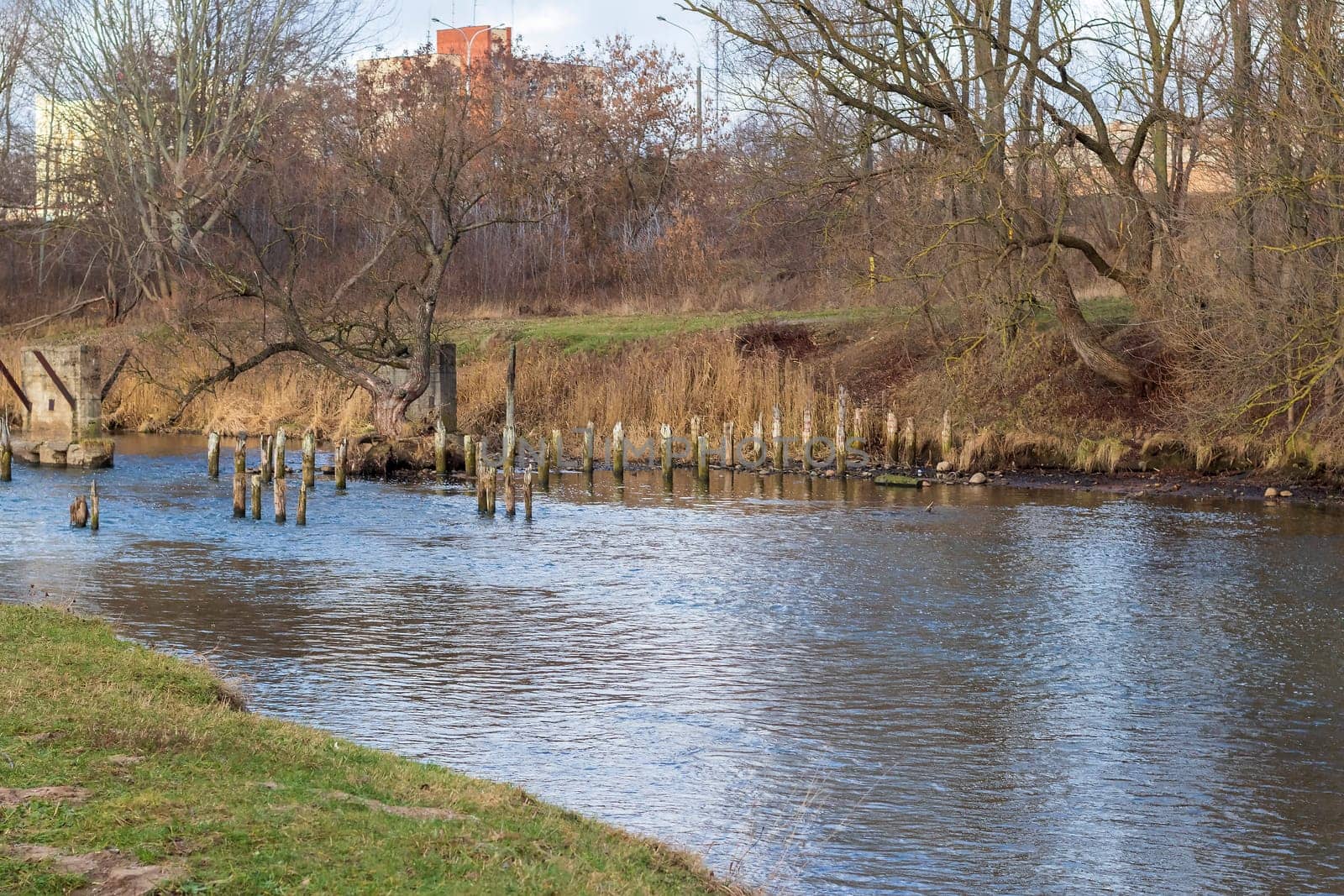Shot of the river at autumn