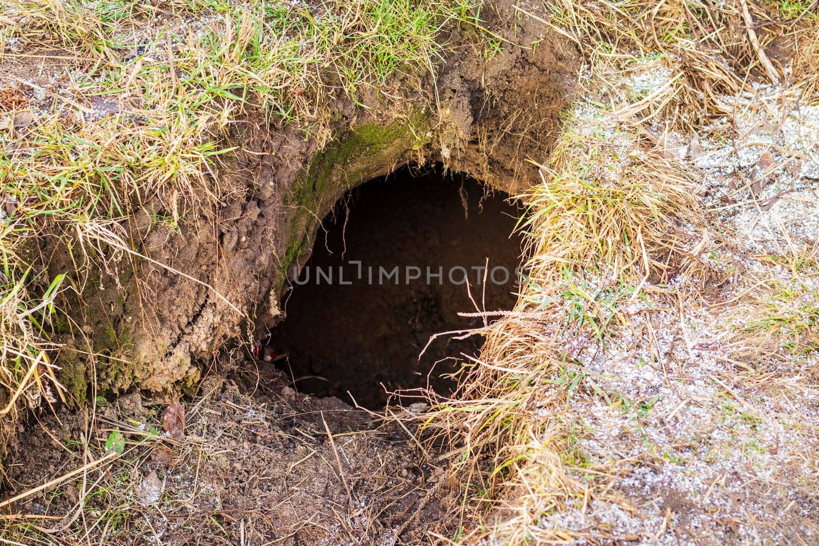 Shot of the hole in the soil