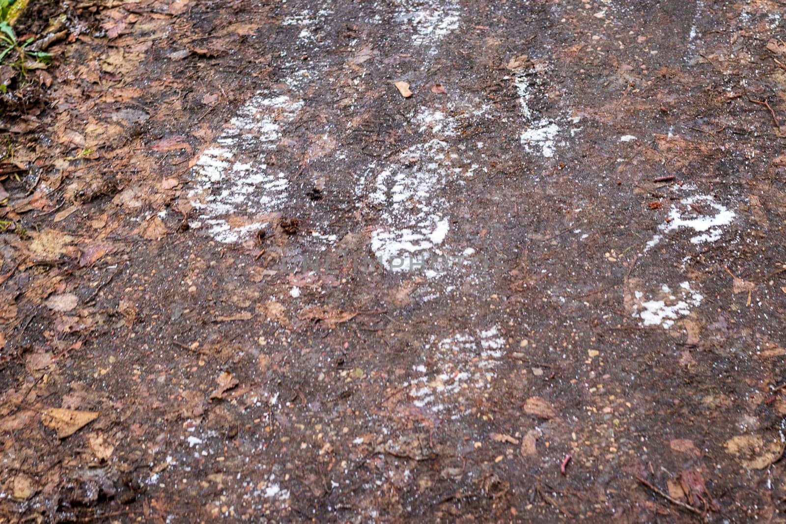 Shot of the frosty steps on the dirt
