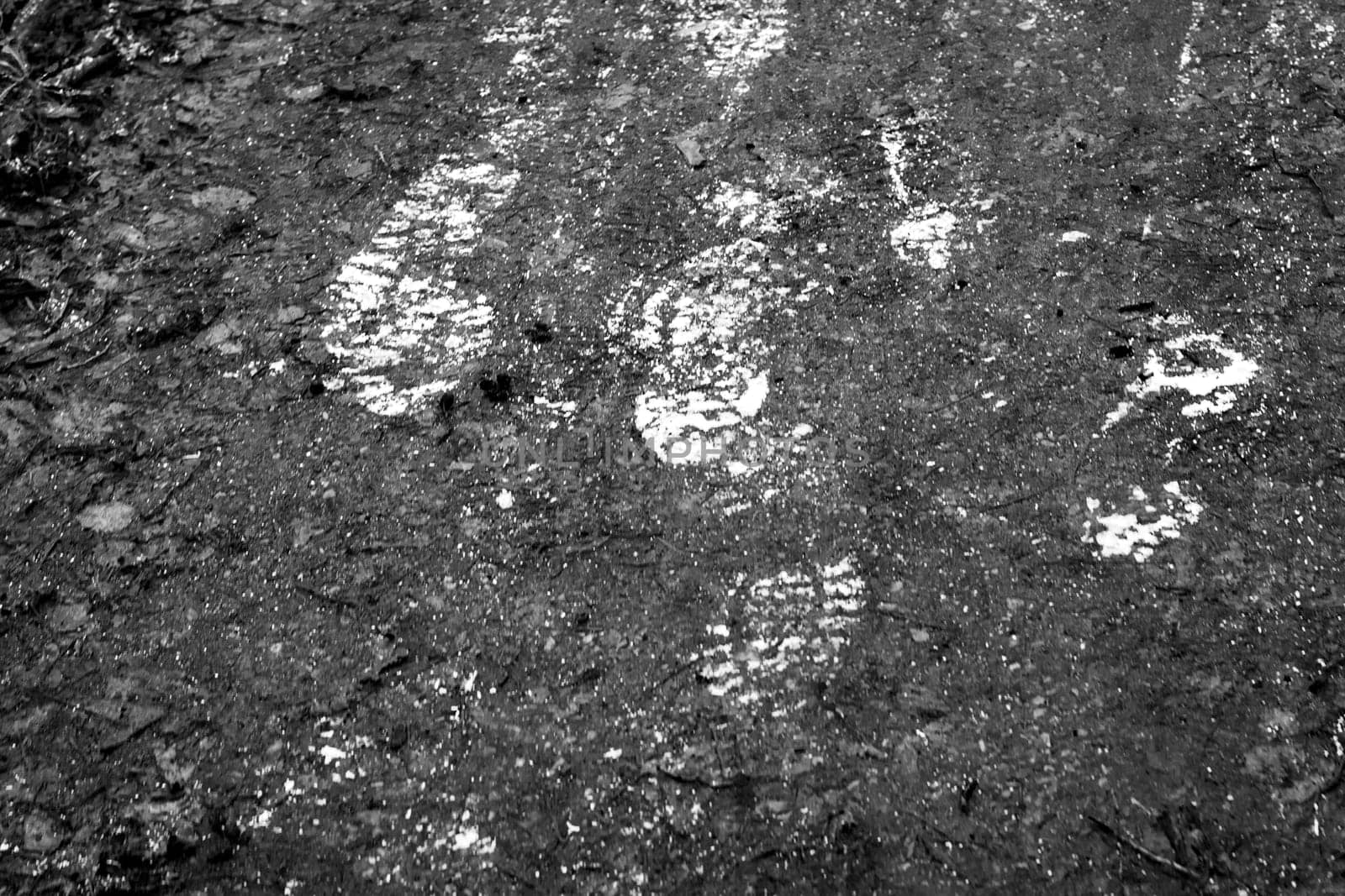 Shot of the frosty steps on the dirt