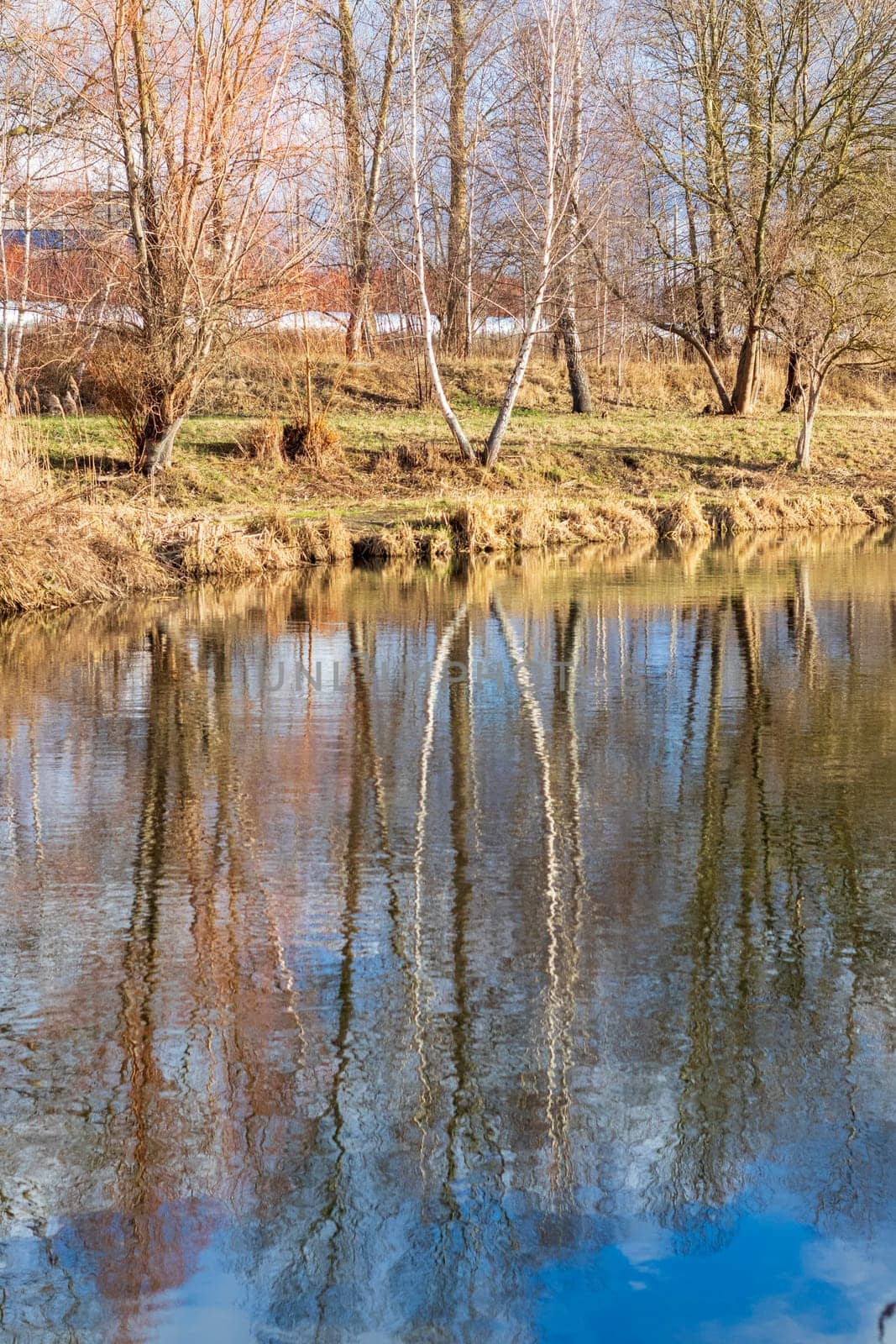 Shot of the river at autumn