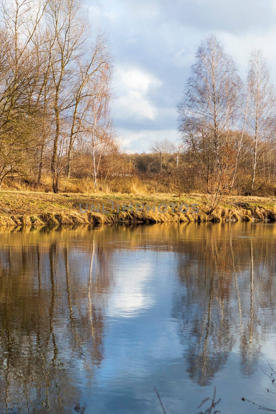 Shot of the river at autumn