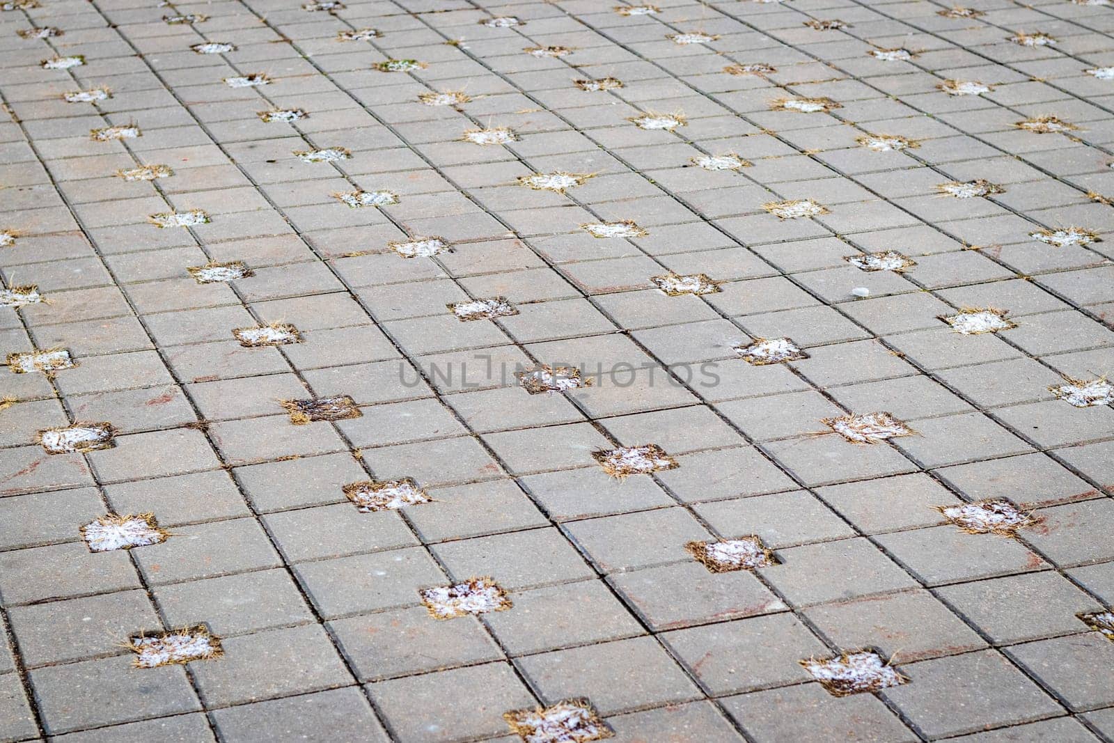Close up shot of inter lock brick, frost and soil between them