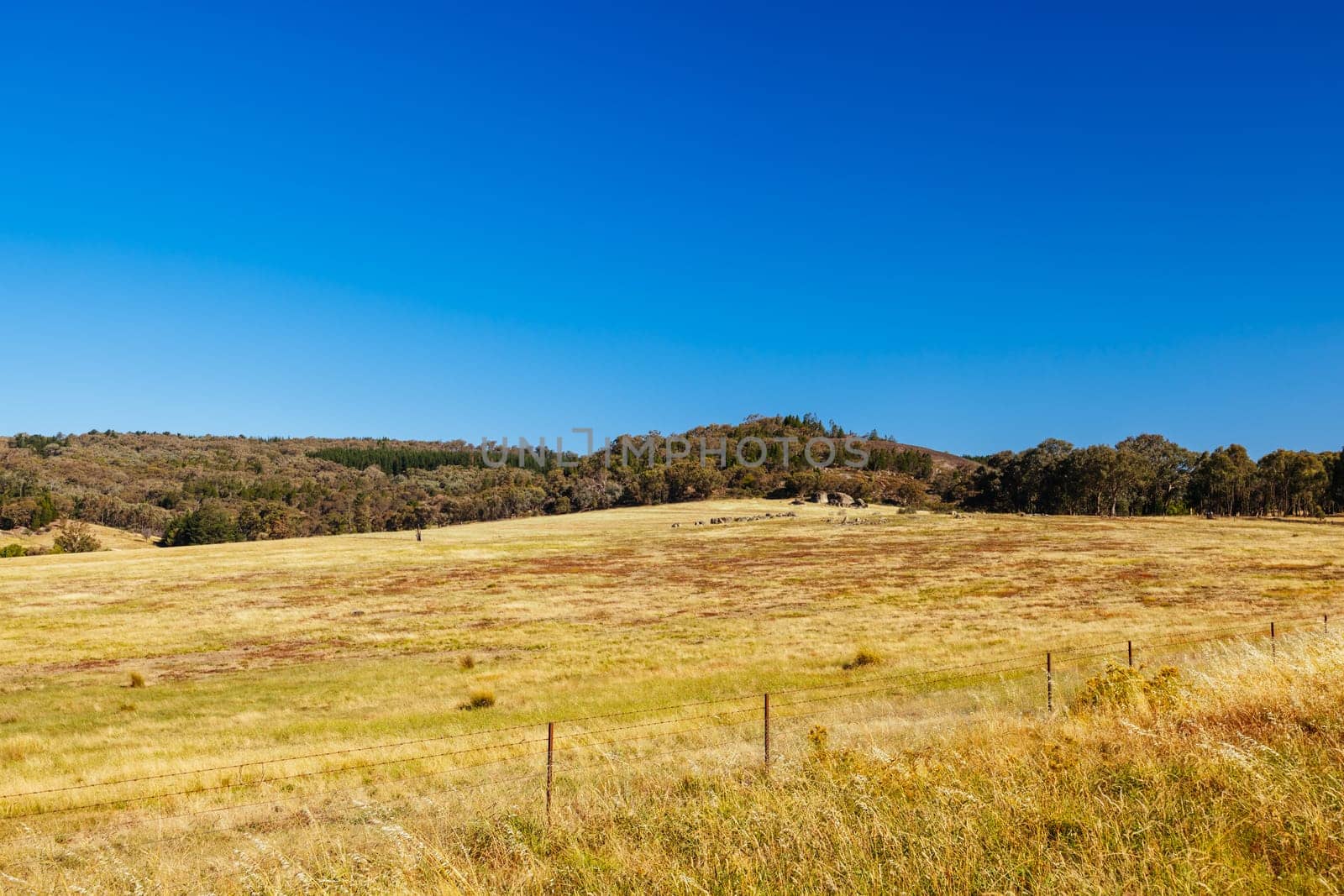 BEECHWORTH, AUSTRALIA - JANUARY 1 2025: Famous Flat Rock and landscape near Beechworth in Beechworth Historic Park in Australia on January 1st, 2025