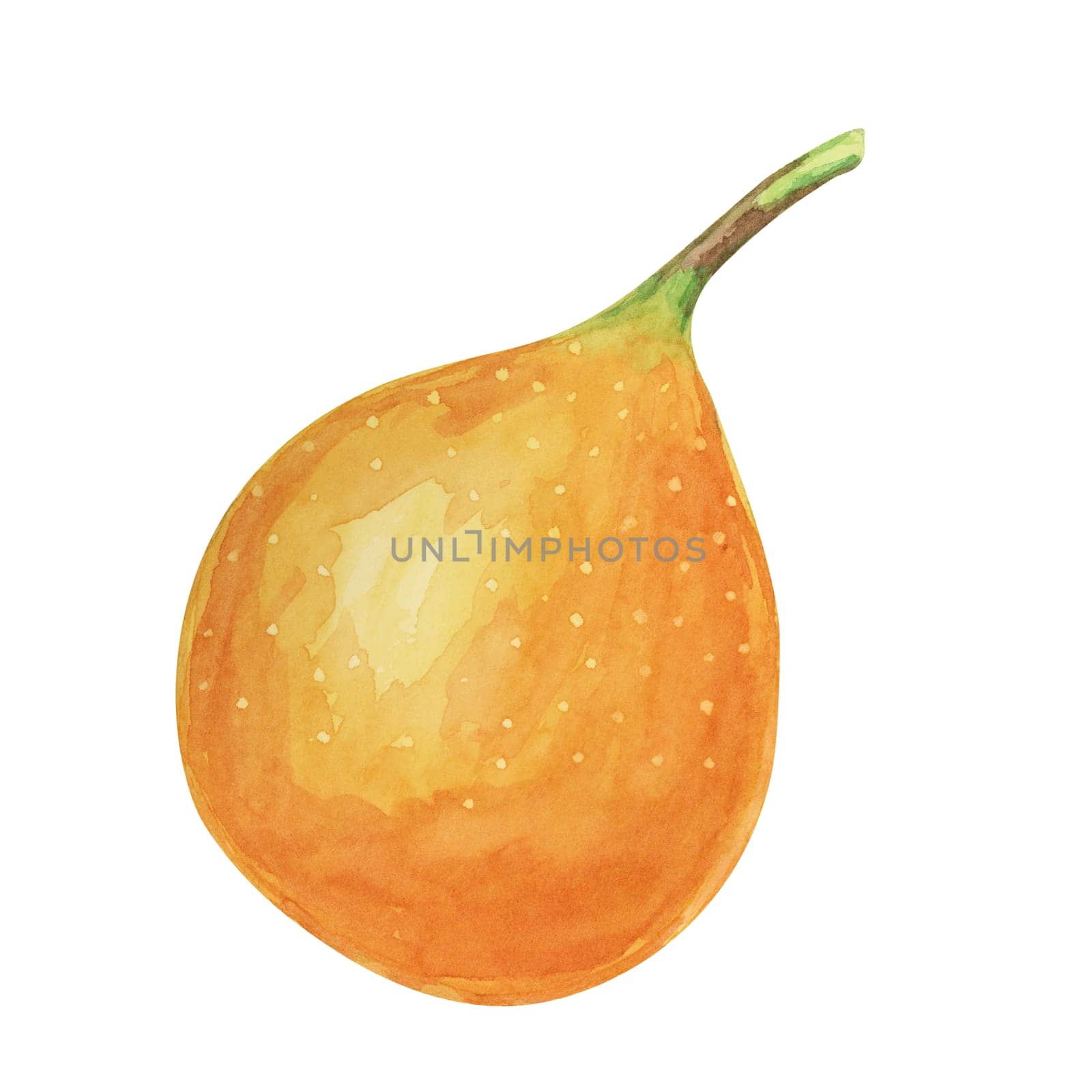 Whole orange sweet granadilla. Yellow passion fruit watercolor illustration. Maracuja clipart perfect for botanical illustrations, natural product packaging, or tropical-themed designs.