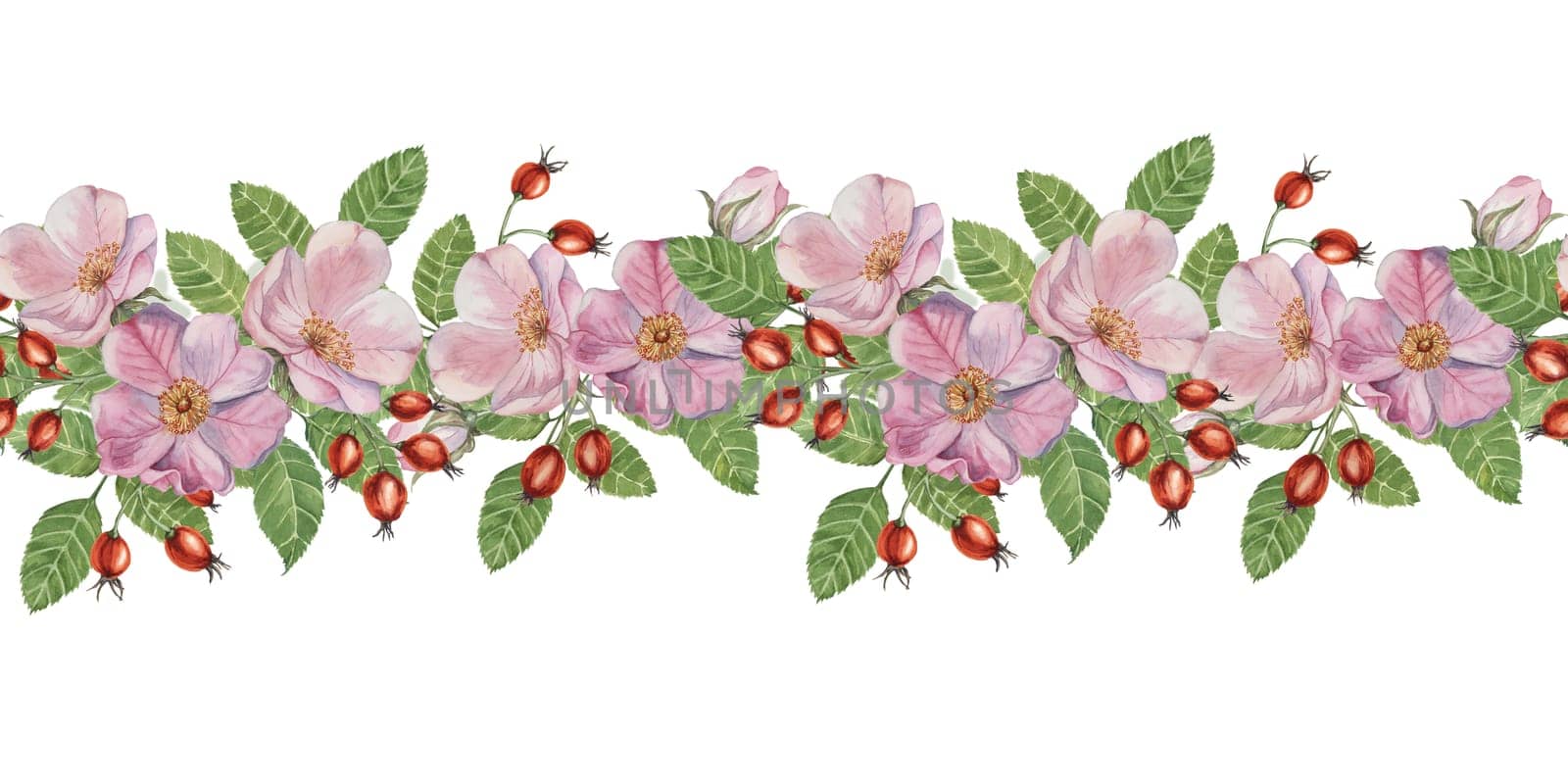 Wild rose seamless border showcases a mix of pink flowers and rosehips with green leaves in watercolor. Clipart for adding a natural touch to your designs, greeting cards, invitations, and event decor