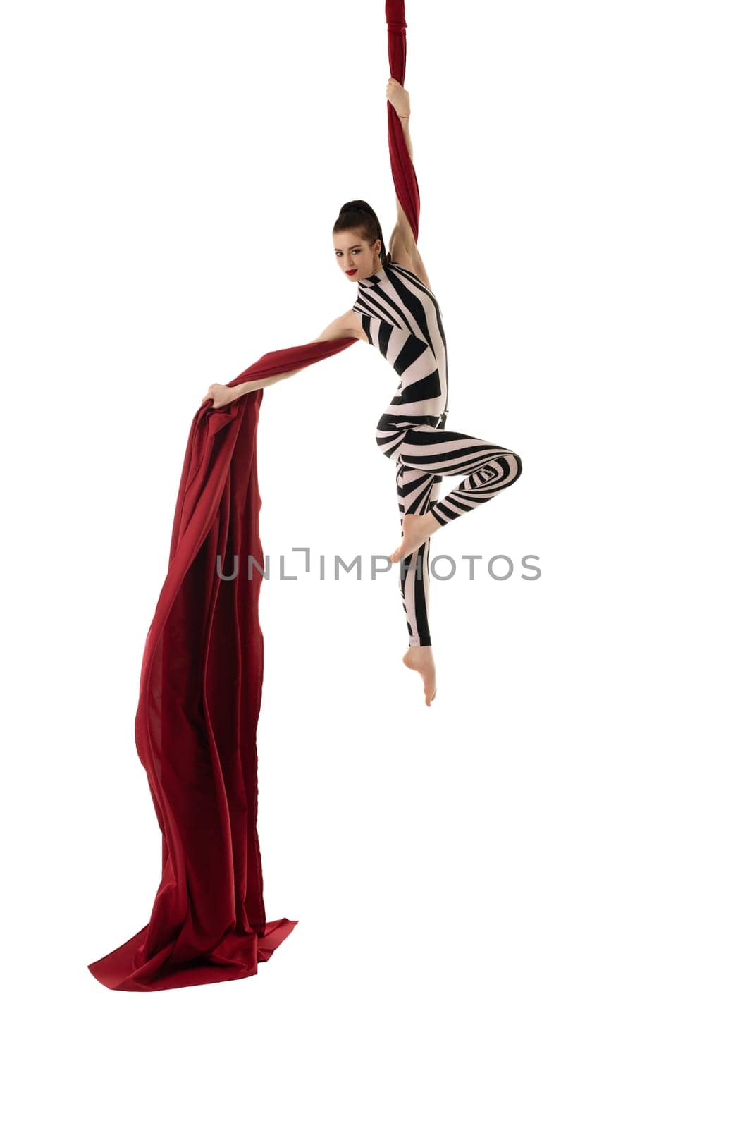 Pretty girl in black and white striped body hanging gracefully on burgundy cloth isolated shot