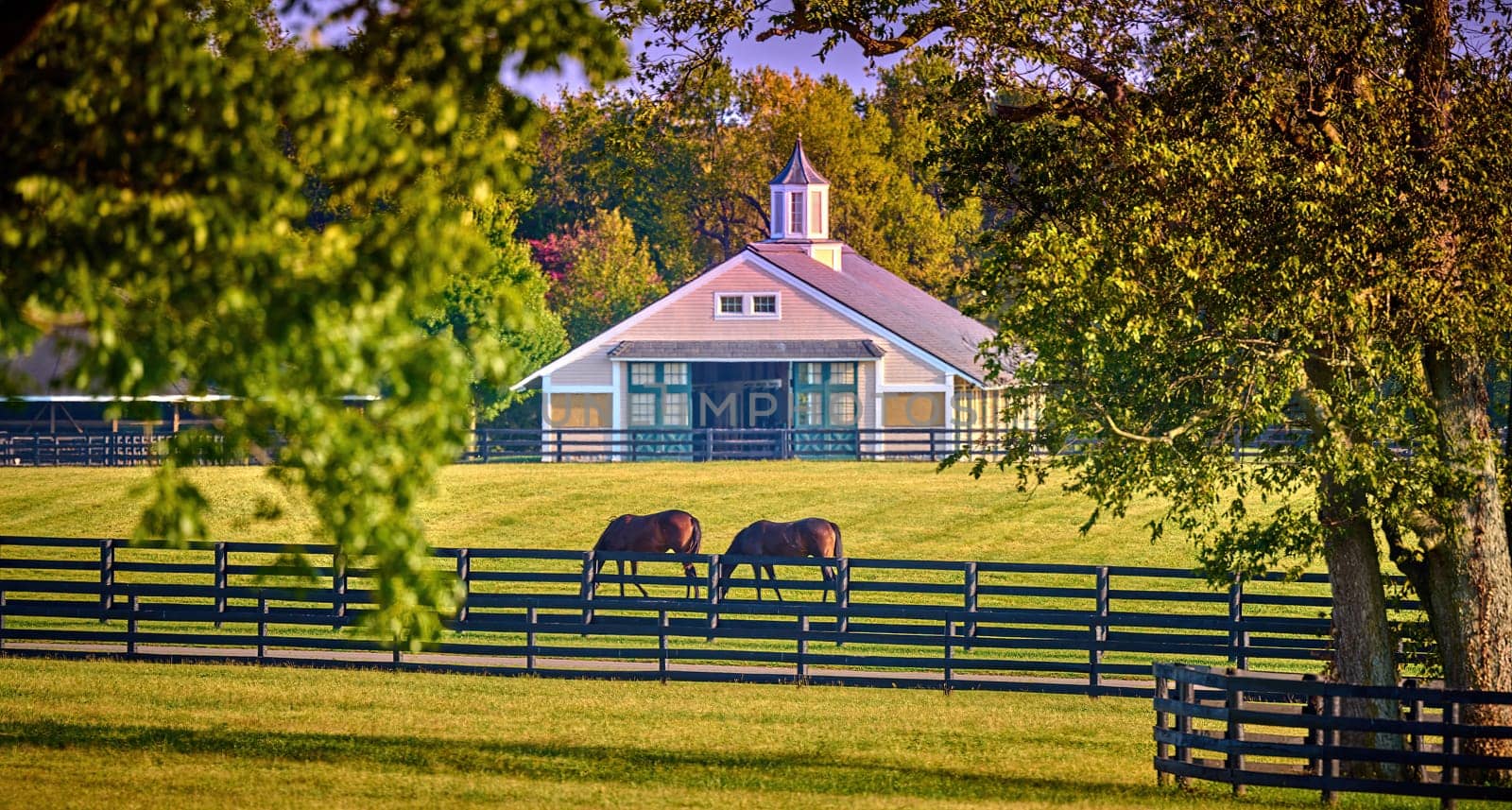 Two horses grazing with a horse barn in the background.