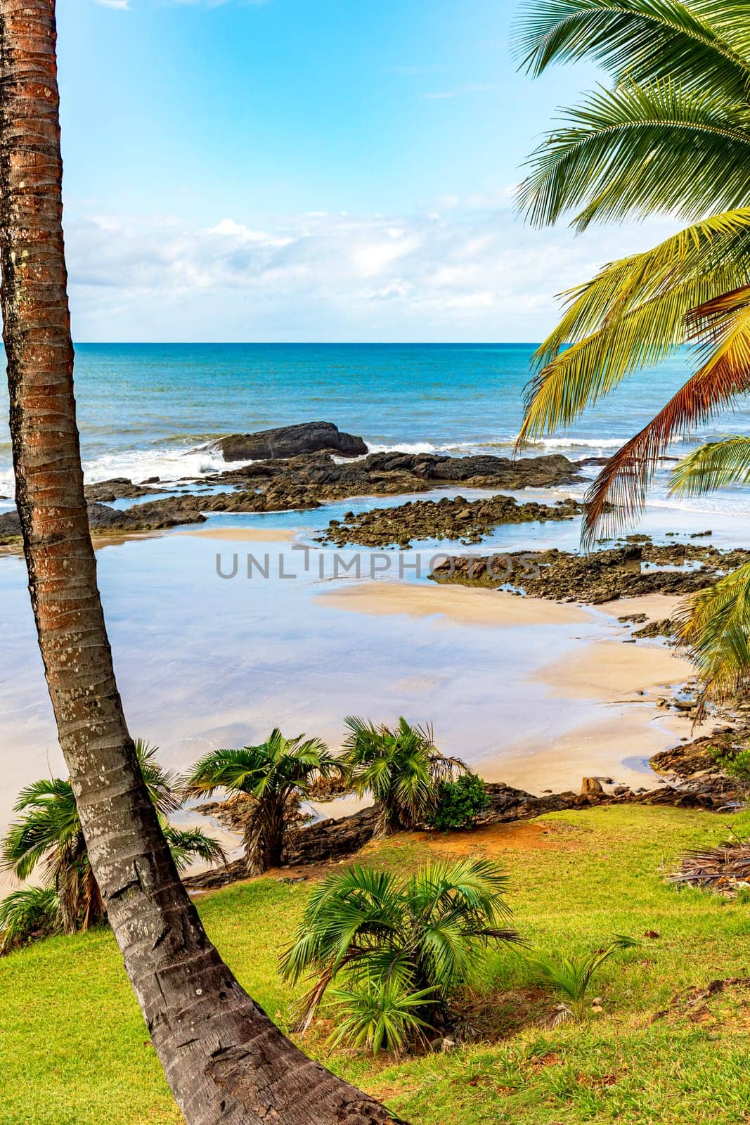 Rocky beach among the coconut trees and vegetation of Serra Grande on the coast of Bahia
