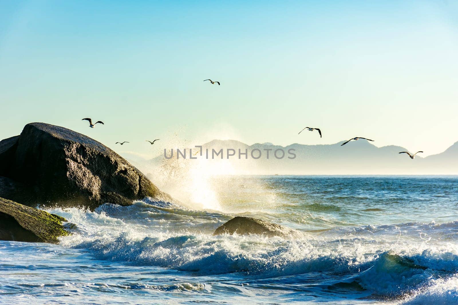 Seagulls over the sea waves at Devil Beach between Copacabana and Ipanema in Rio de Janeiro during sunrise