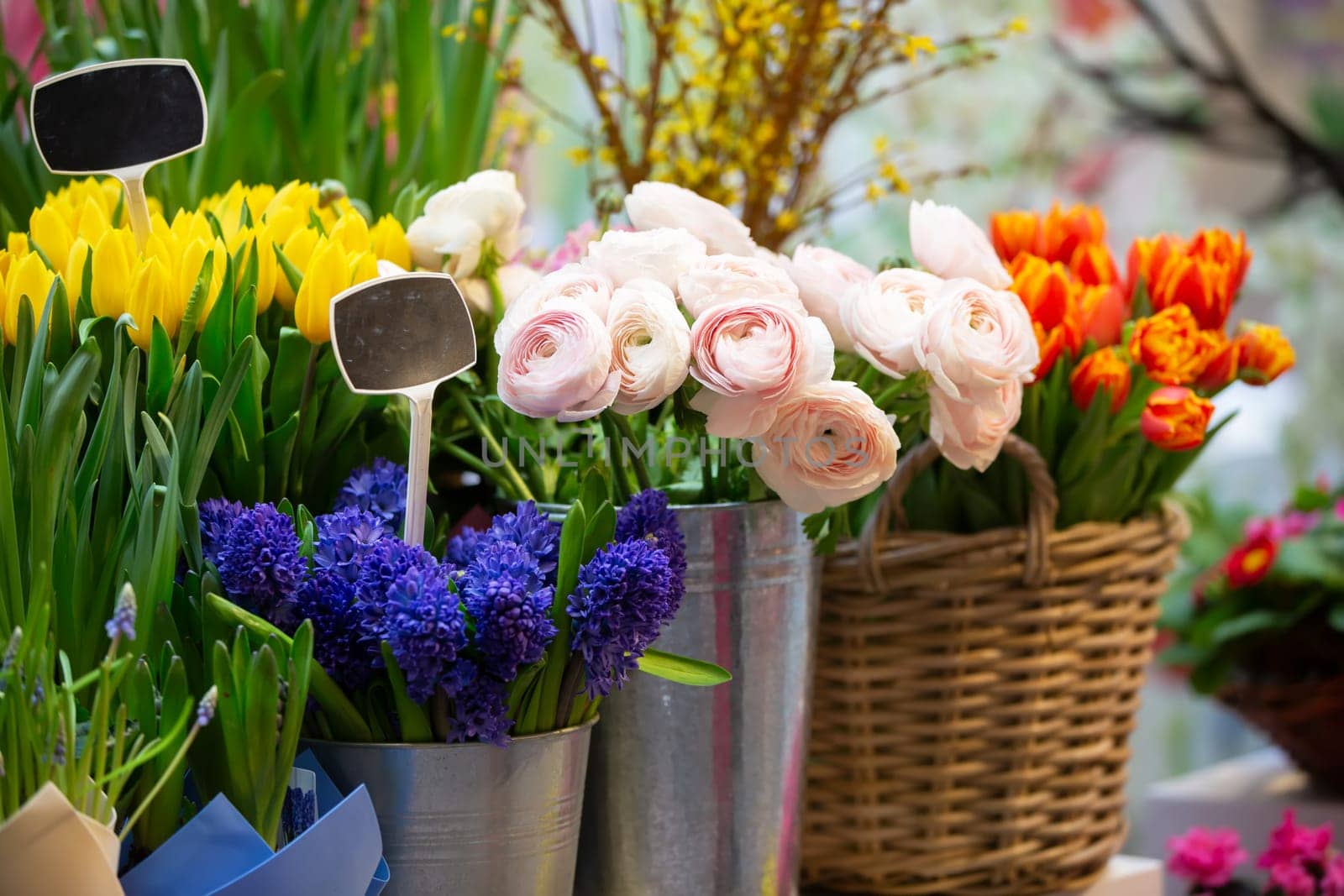 Baskets with a variety of spring flowers - tulips, phlox, begonias. Showcase of a cheerful flower shop.