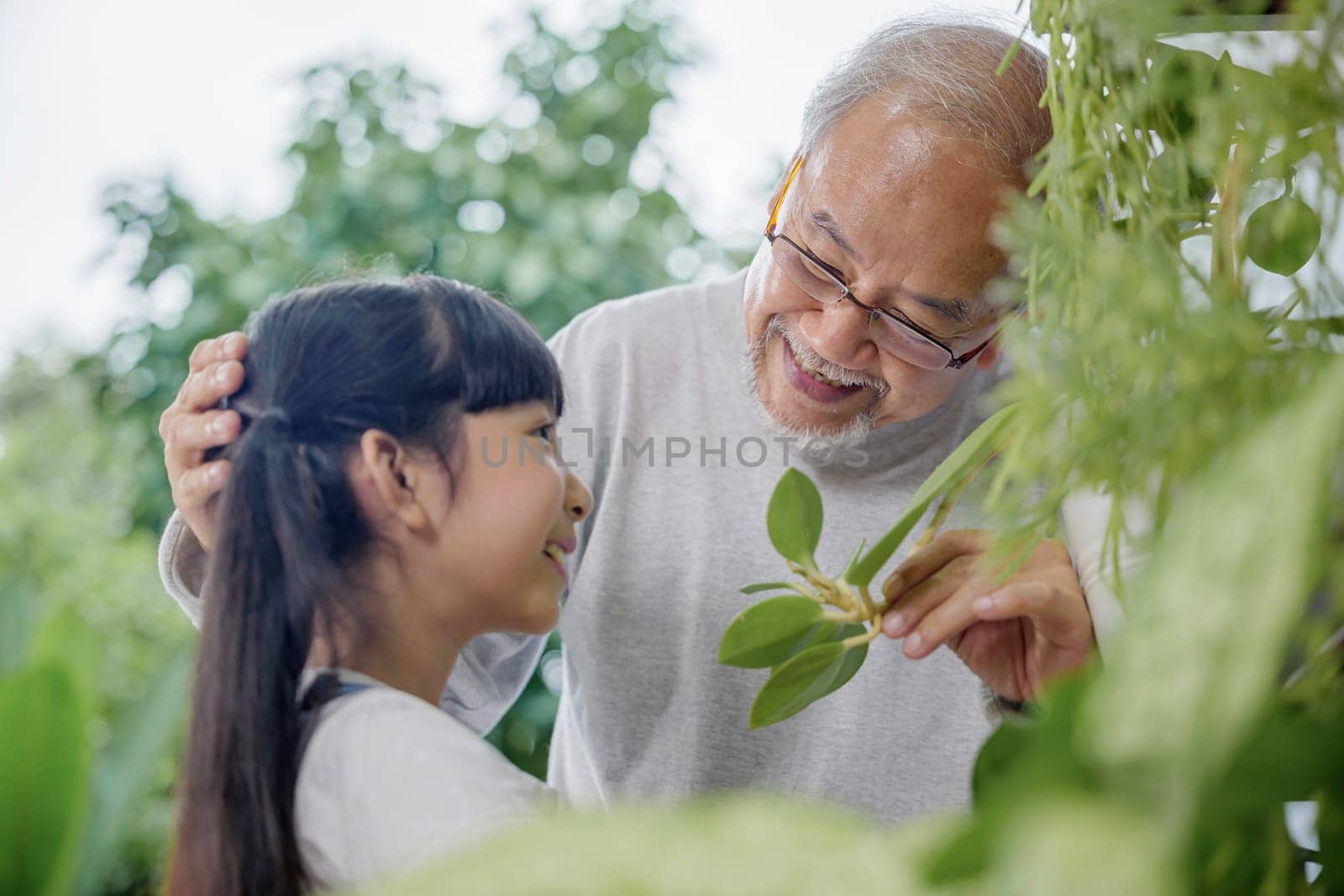 Asian young attractive girl and grandfather standing beside a green potted plant at home held, World Environment Day concept