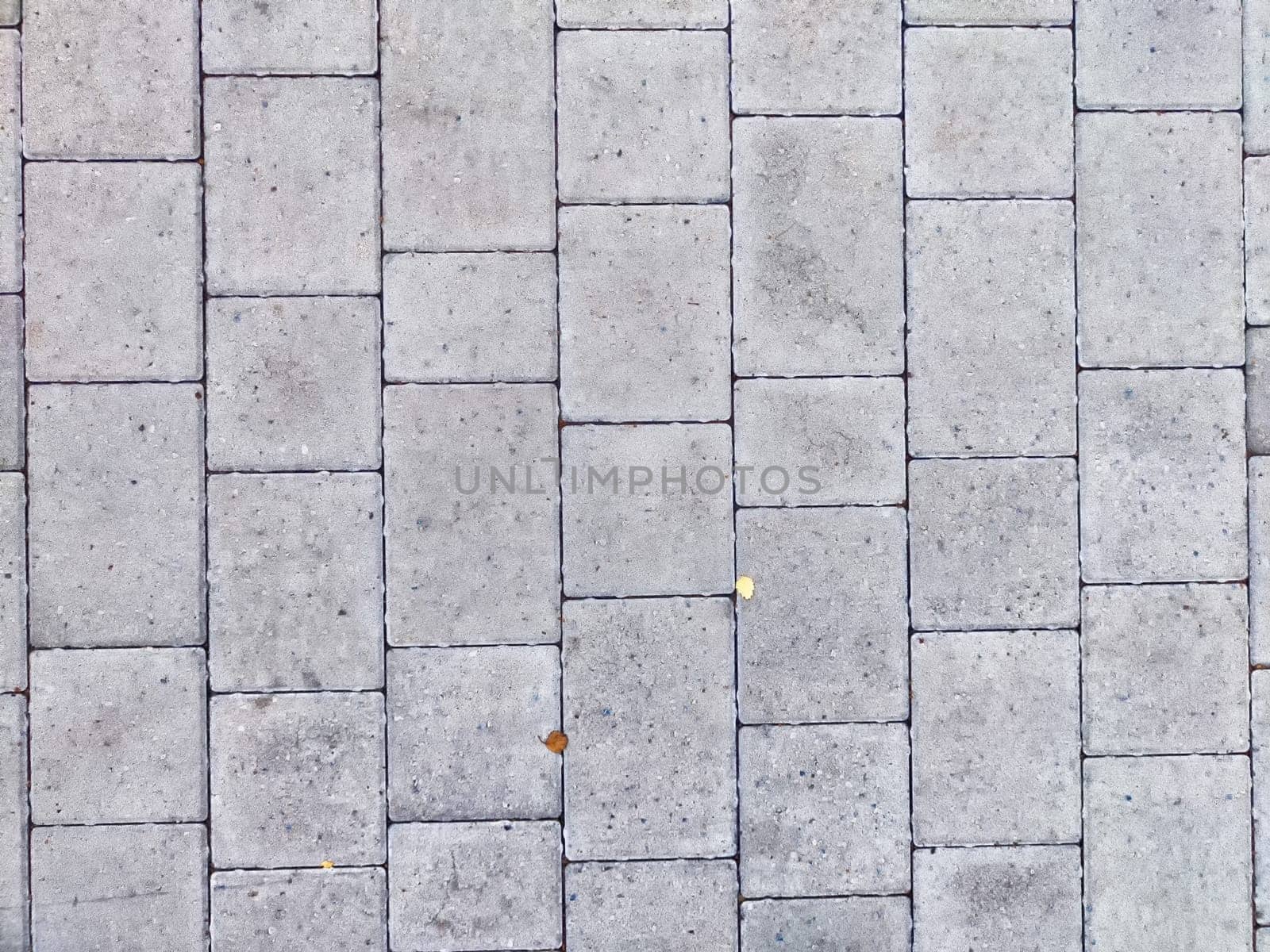 Concrete pavers form a uniform, structured path with a few scattered leaves.