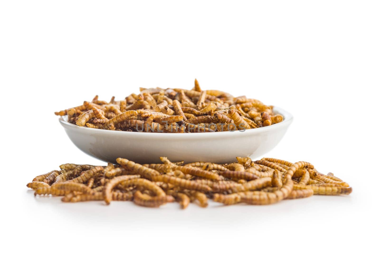 Dried salted worms. Roasted mealworms in bowl isolated on a white background.