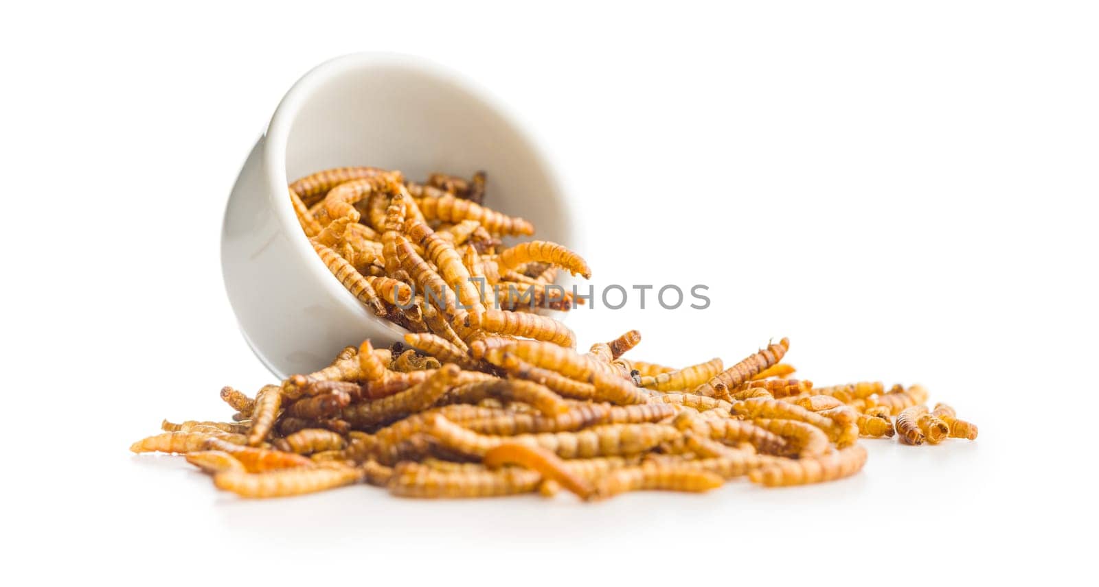 Dried salted worms. Roasted mealworms in bowl isolated on a white background.