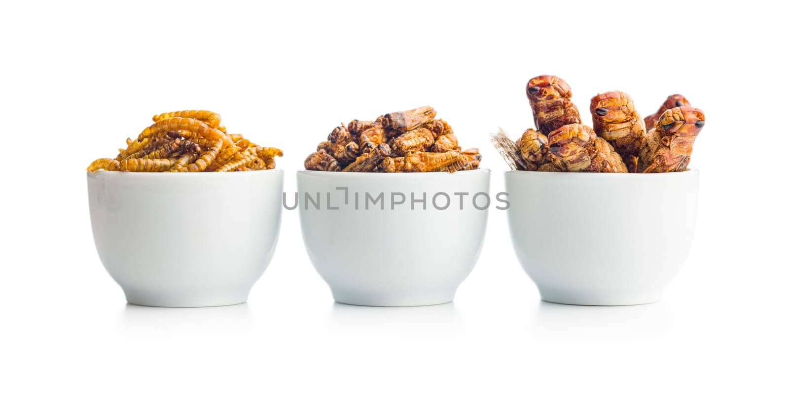 Dried salted insect. Mealworms, grasshoppers and crickets in bowl isolated on a white background.