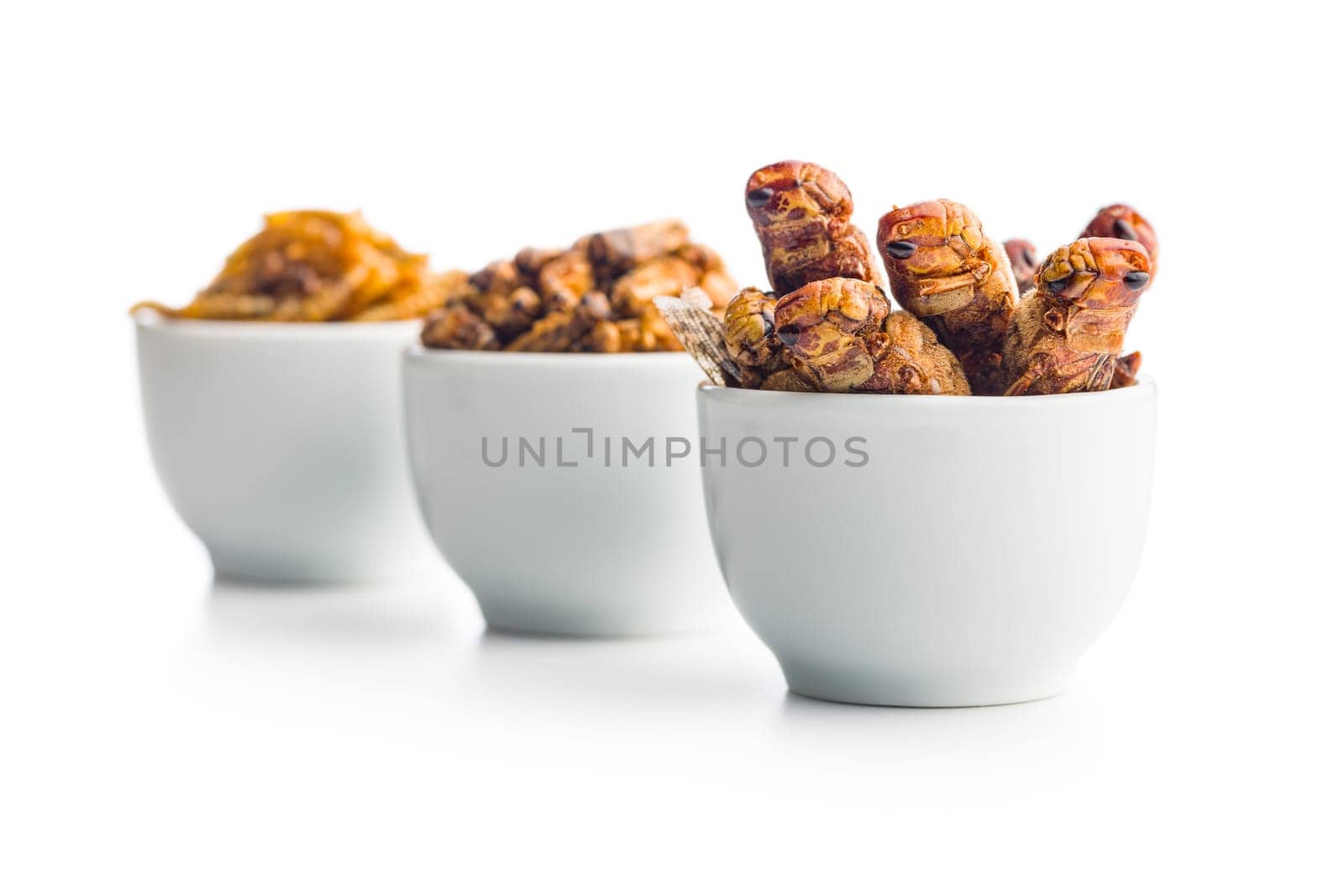 Dried salted insect. Mealworms, grasshoppers and crickets in bowl isolated on a white background.