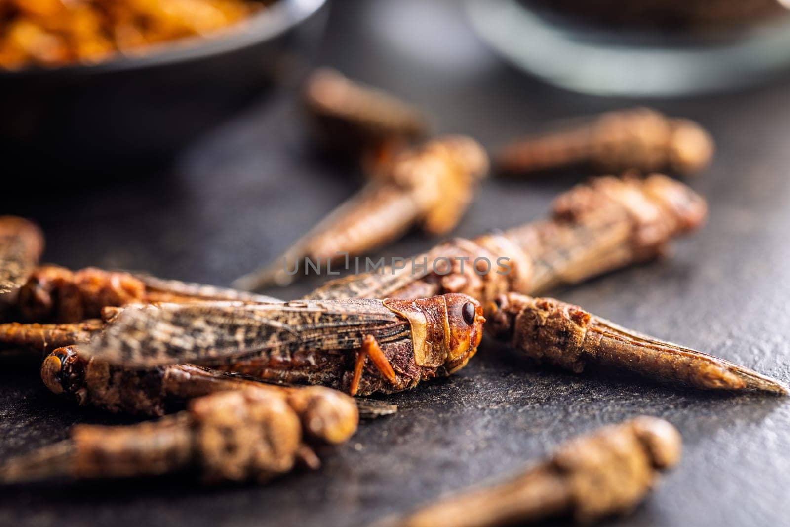 Dried salted insect. Rosted grasshoppers on a black table.