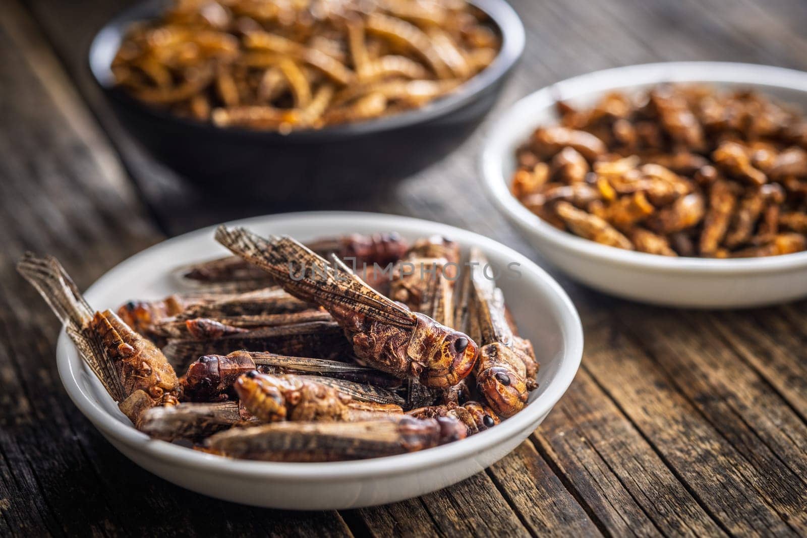 Dried salted insect. Roasted grasshoppers in bowl on a wooden table.