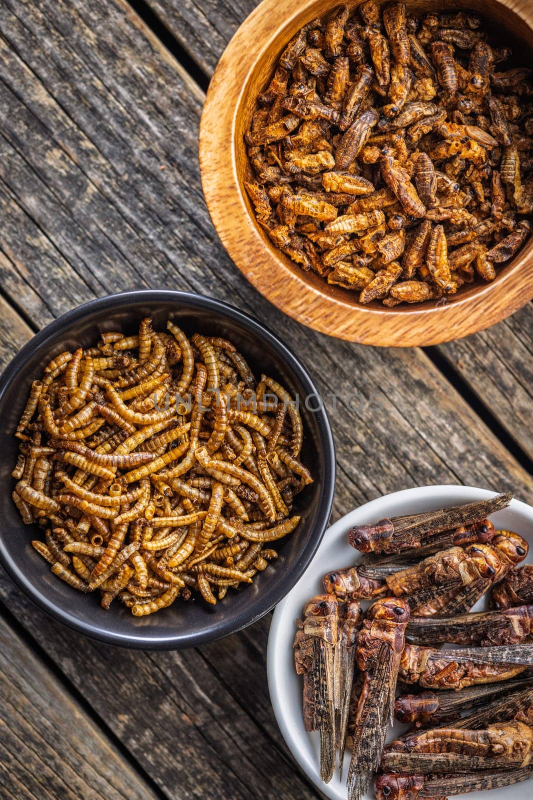 Dried salted insect. Mealworms, grasshoppers and crickets in bowl on a wooden table. Top view.