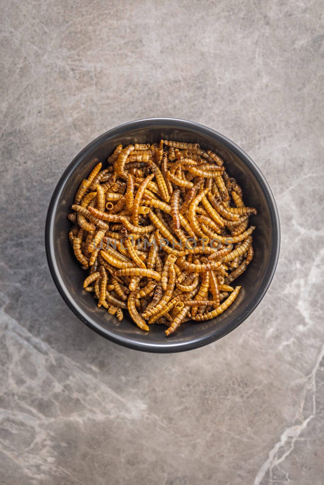 Dried salted worms. Roasted mealworms in bowl on a kitchen table.