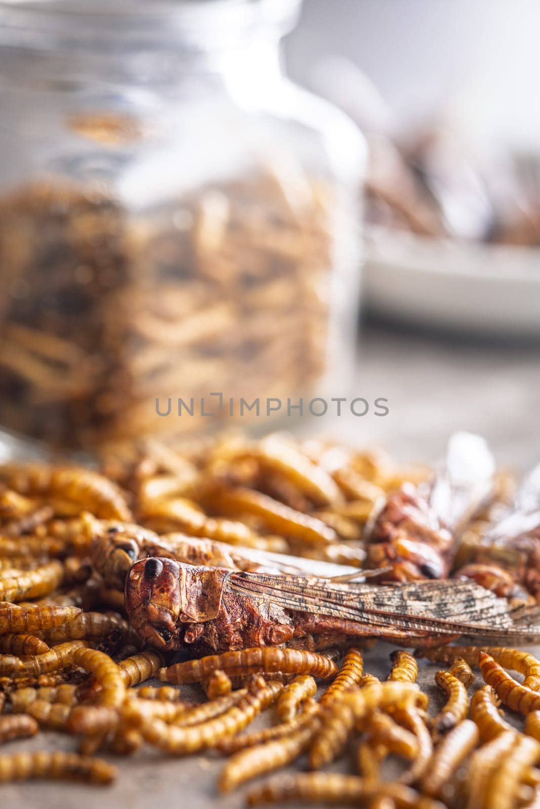 Dried salted insect. Roasted grasshoppers and meal worms on a kitchen table.