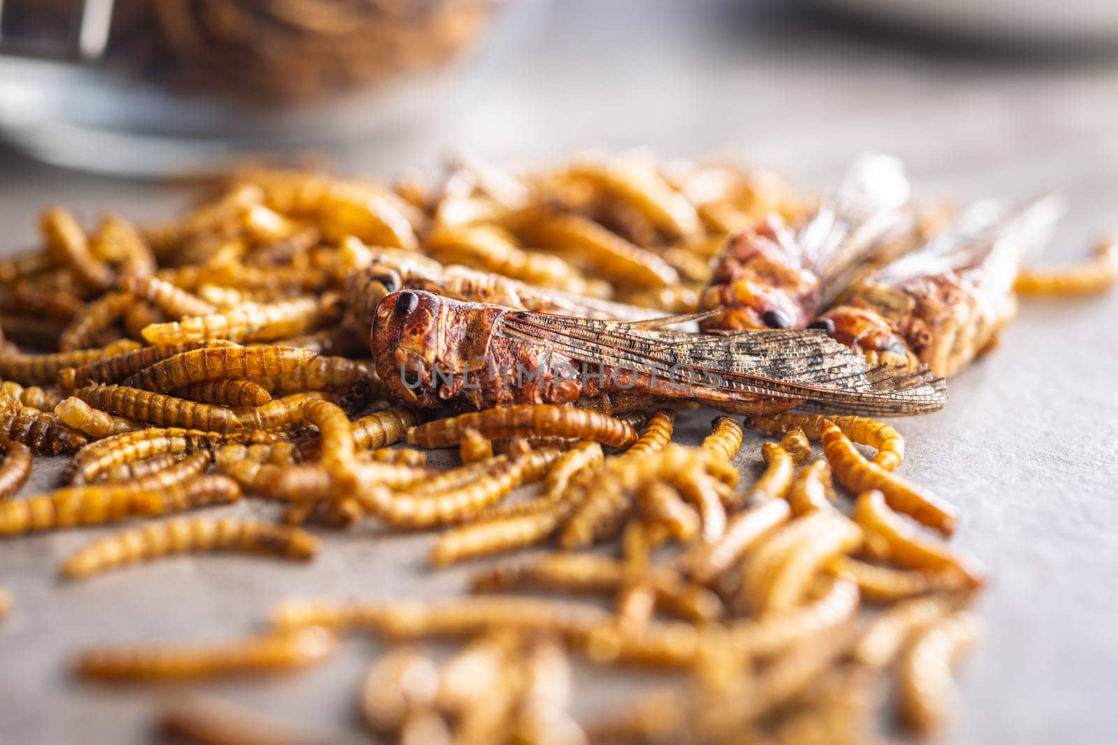 Dried salted insect. Roasted grasshoppers and meal worms on a kitchen table.