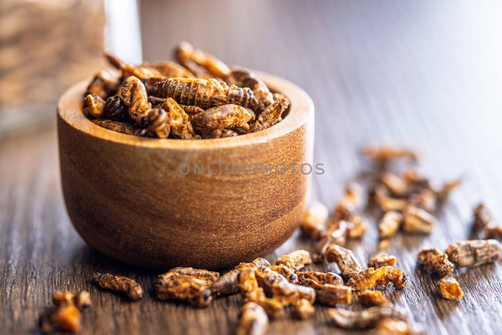Dried salted insect. Roasted crickets in bowl on a wooden table.
