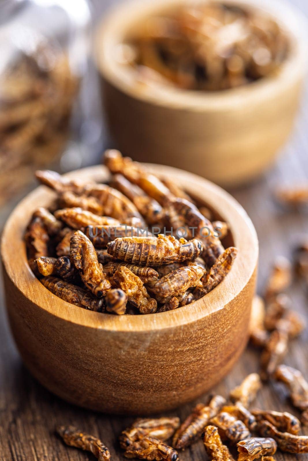 Dried salted insect. Roasted crickets in bowl on a wooden table.