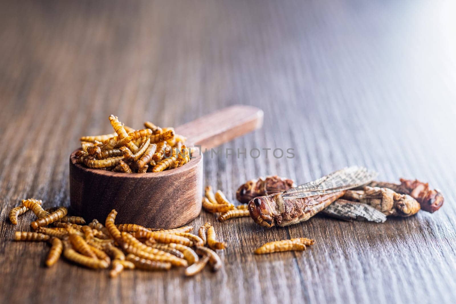 Dried salted insect. Roasted grasshoppers and mealworms on a wooden table.