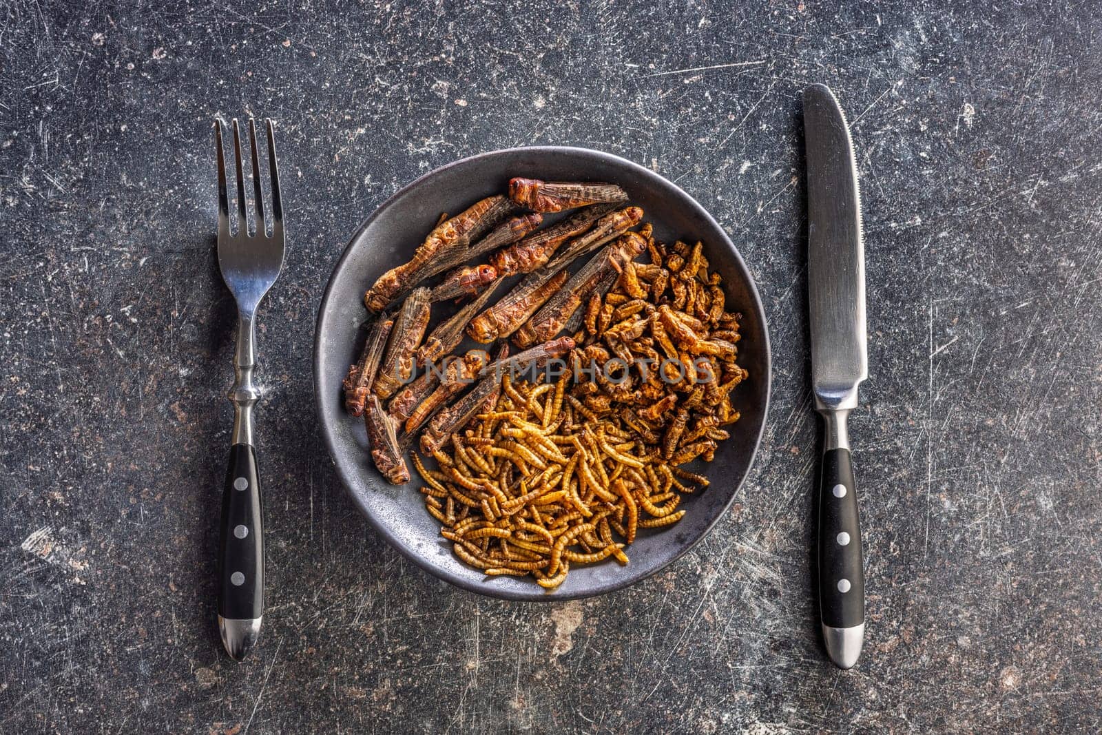 Dried salted insect. Mealworms, grasshoppers and crickets on plate on a black table. Top view.