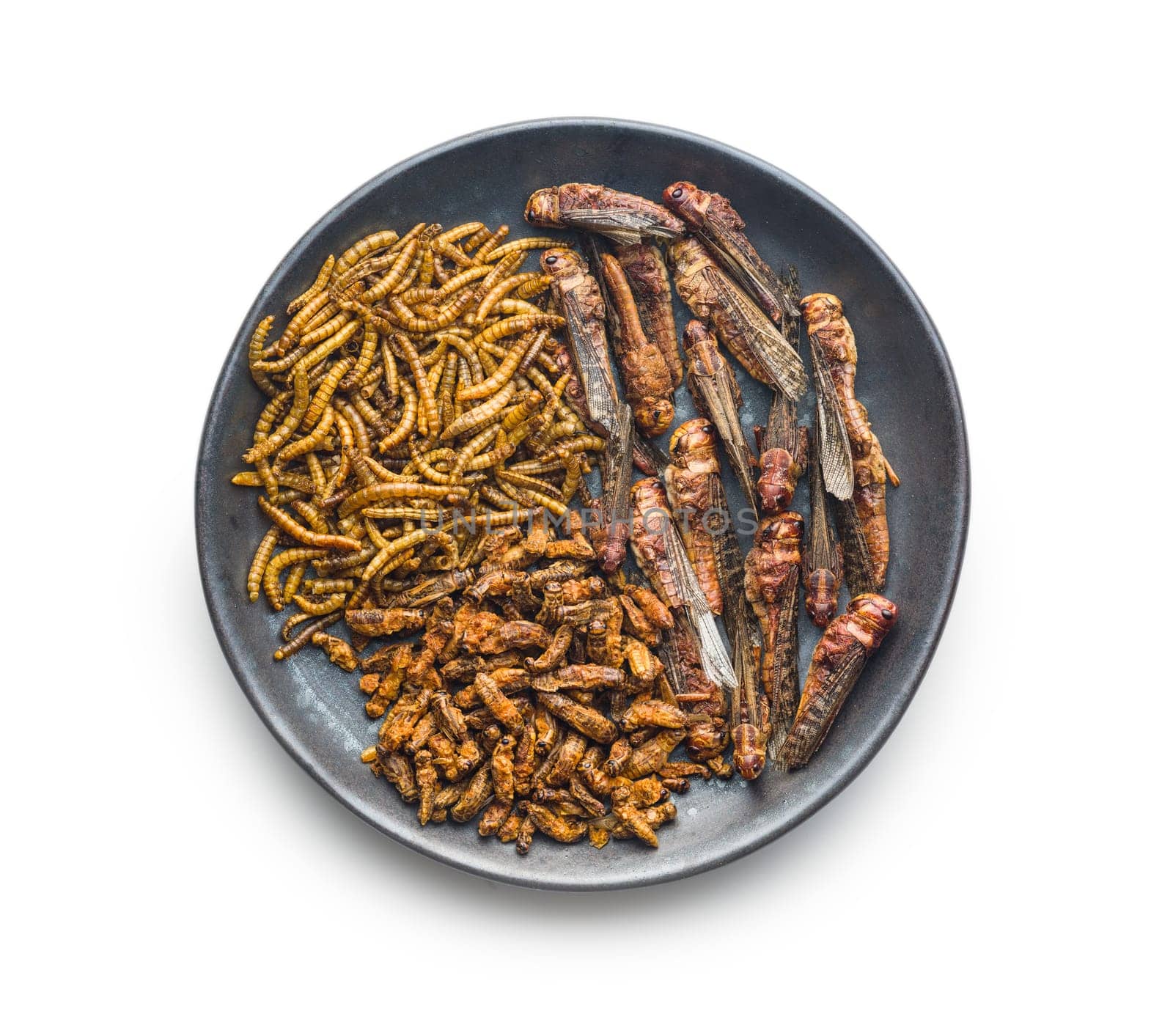 Dried salted insect. Mealworms, grasshoppers and crickets on plate isolated on a white background.