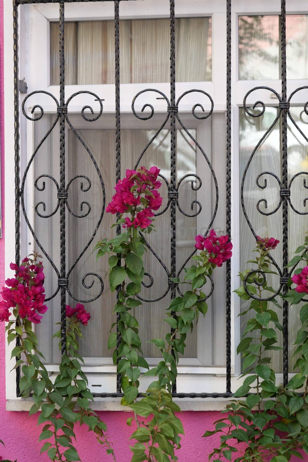 A beautifully crafted window adorned with vibrant bougainvillea and intricate ironwork