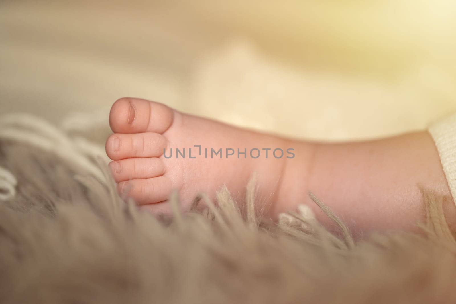 Closeup of a newborn baby's bare feet. Maternity and childhood concept. High quality photo