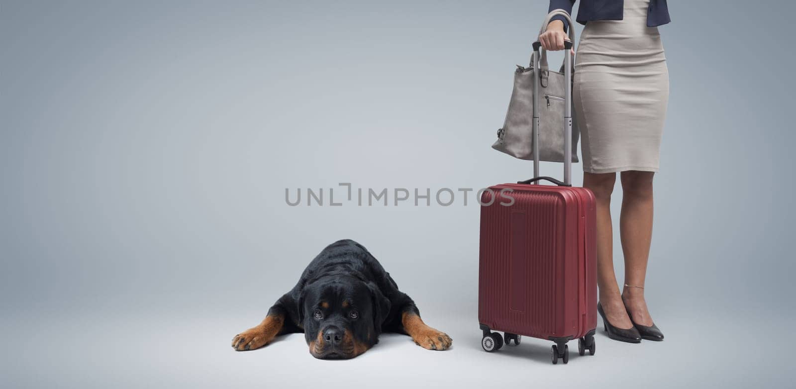 Businesswoman going on vacation with her luggage and sad lonely dog lying next to her, she is leaving her pet at home alone