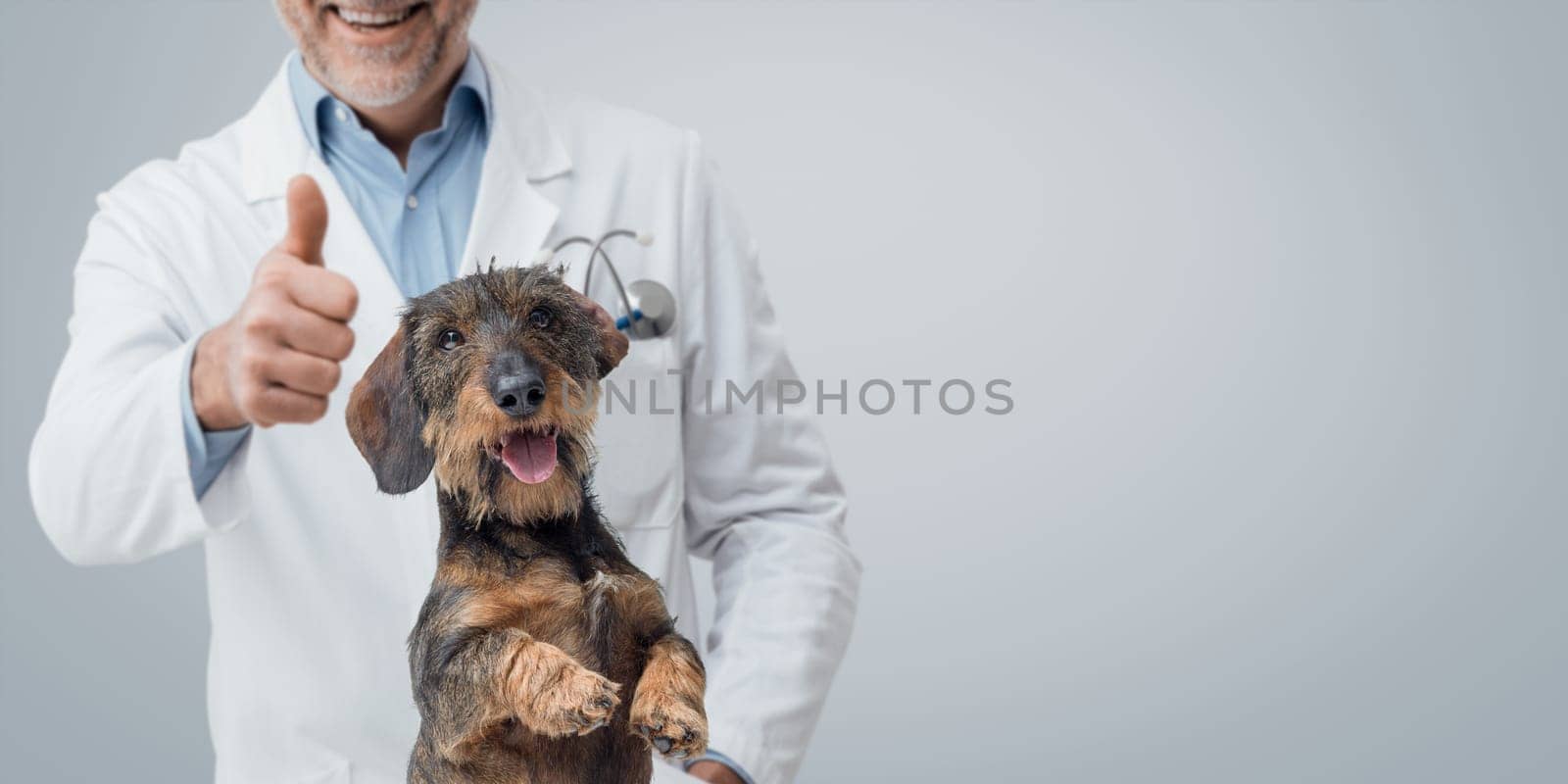 Confident smiling vet giving a thumbs up and happy dog, pet care concept, banner with copy space