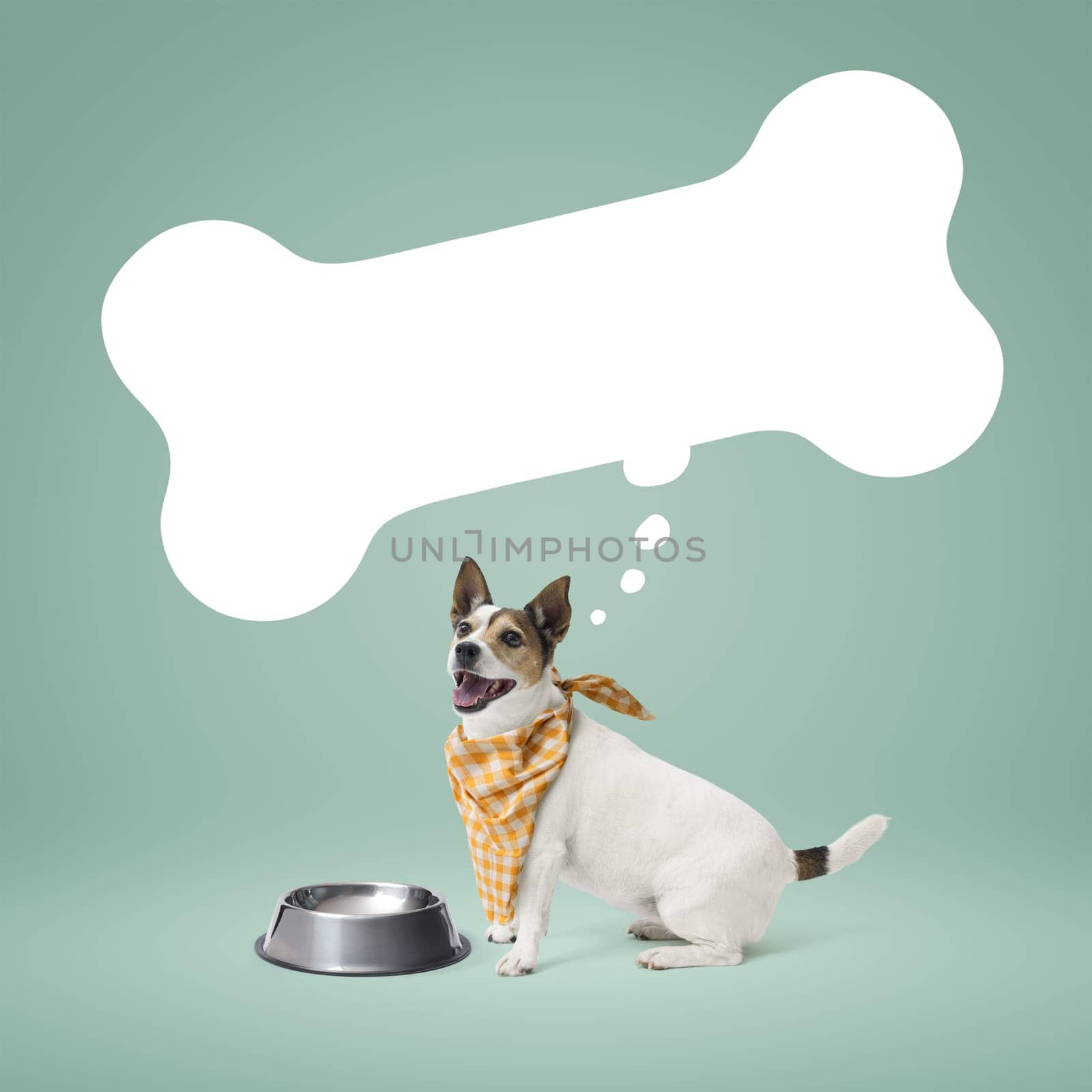 Hungry dog wearing a bib and waiting next to an empty bowl, bone shaped speech balloon