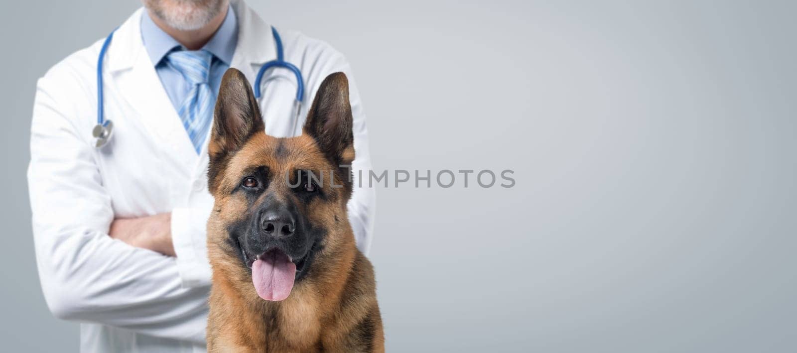 Confident veterinarian with crossed arms and happy dog posing together, pet care concept, banner with copy space