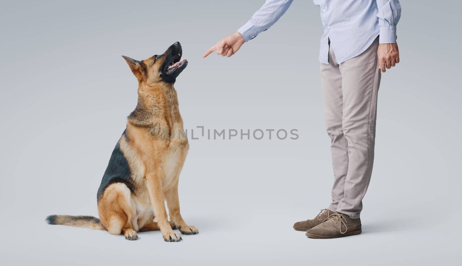 Pet owner scolding his undisciplined dog, pet care and dog training concept
