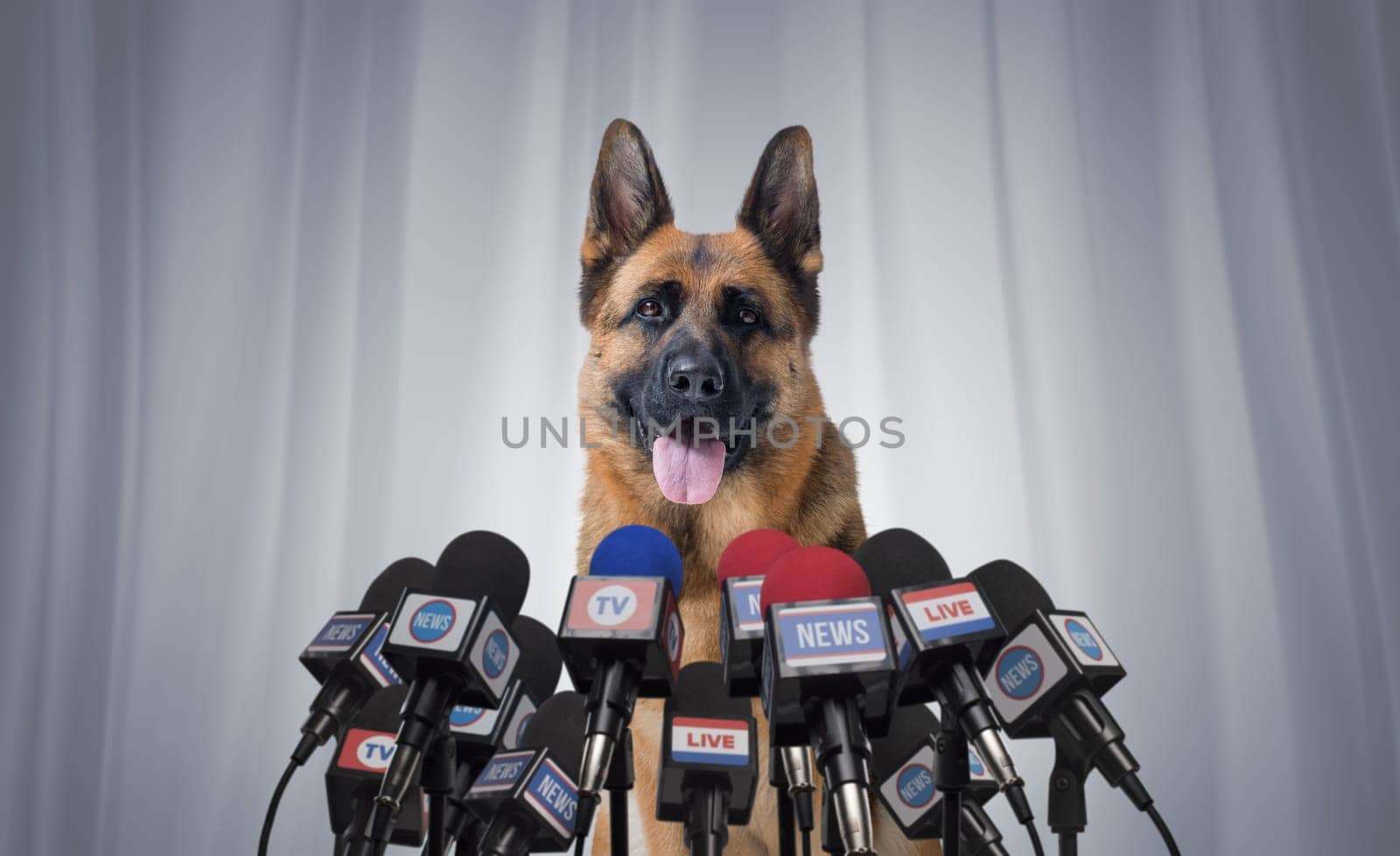 Funny happy dog at the press conference speaking into the microphones