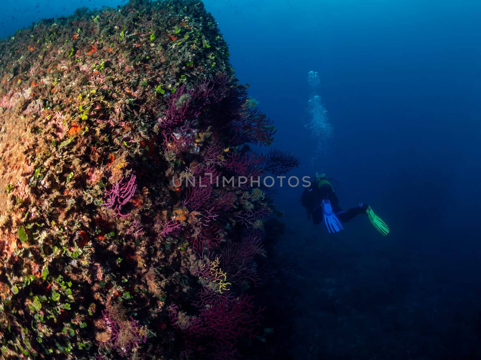 distant scuba diver diving near rocky formation with colorful coral while swimming in clear deep sea, concept of underwater adventure and active leisure