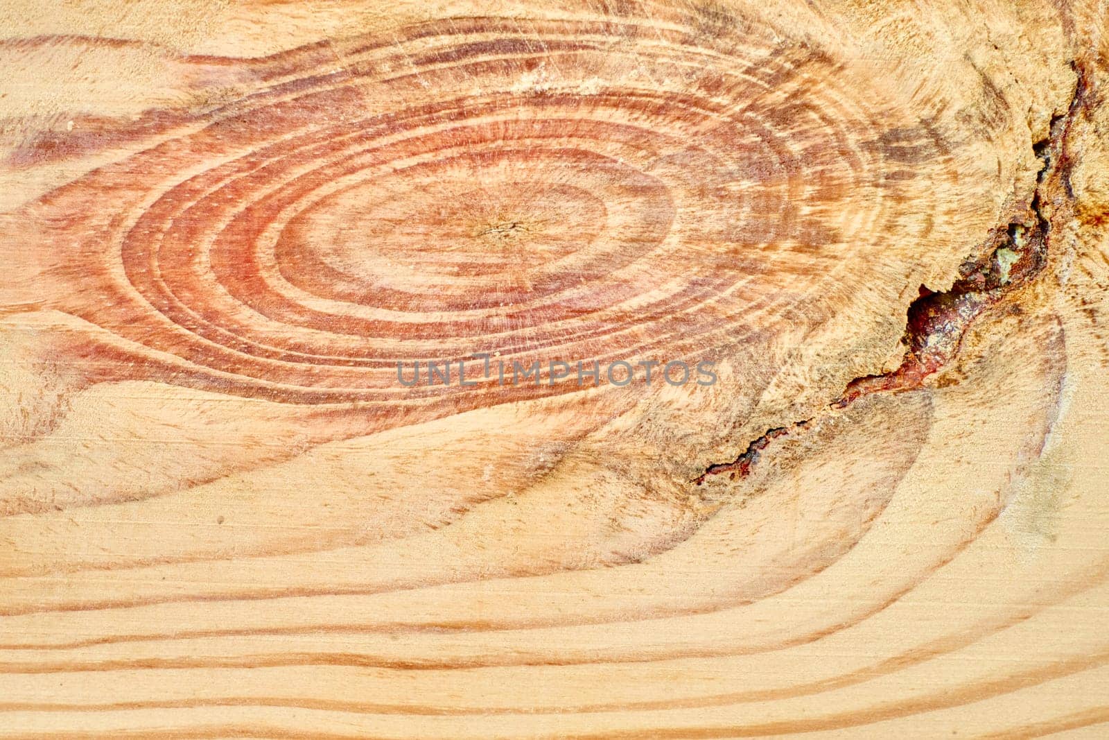 Light wood texture showing growth rings and knot detail.