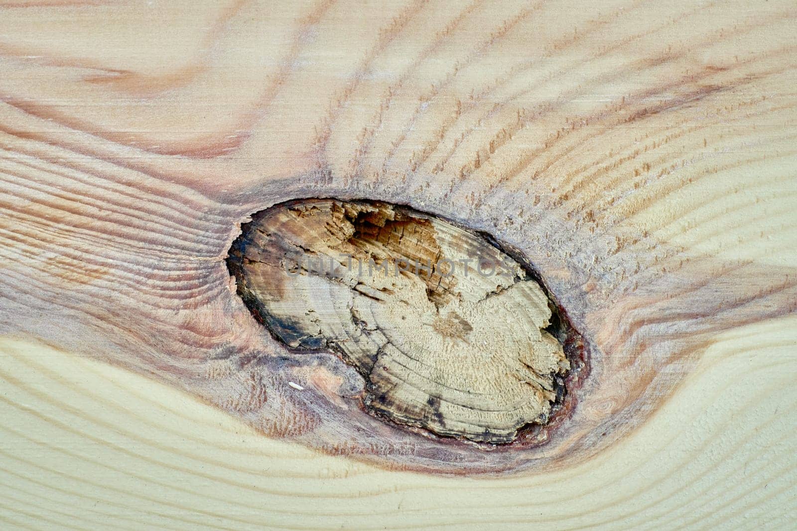 Close-up of light wood plank surface revealing intricate growth rings and a prominent knot, showcasing natural beauty and texture